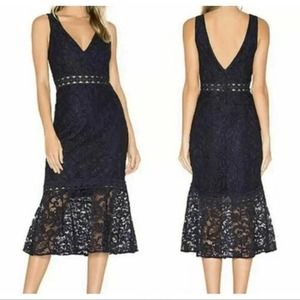 Bardot Fiona Lace Trumpet Midi Dress XS Cocktail Sheath Flounce Sleeveless Navy